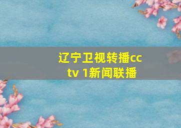 辽宁卫视转播cctv 1新闻联播